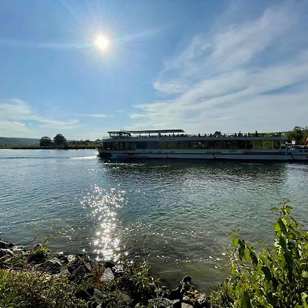 Chalet An Der Donau Direkt Bei Regensburg, 5 Sterne Dtv Pentling Ngoại thất bức ảnh