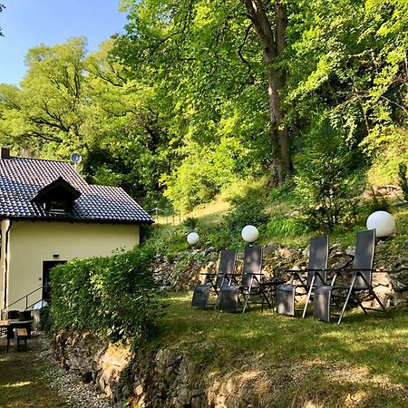 Chalet An Der Donau Direkt Bei Regensburg, 5 Sterne Dtv Pentling Ngoại thất bức ảnh