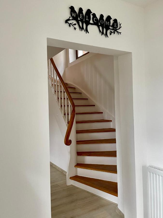 Chalet An Der Donau Direkt Bei Regensburg, 5 Sterne Dtv Pentling Ngoại thất bức ảnh